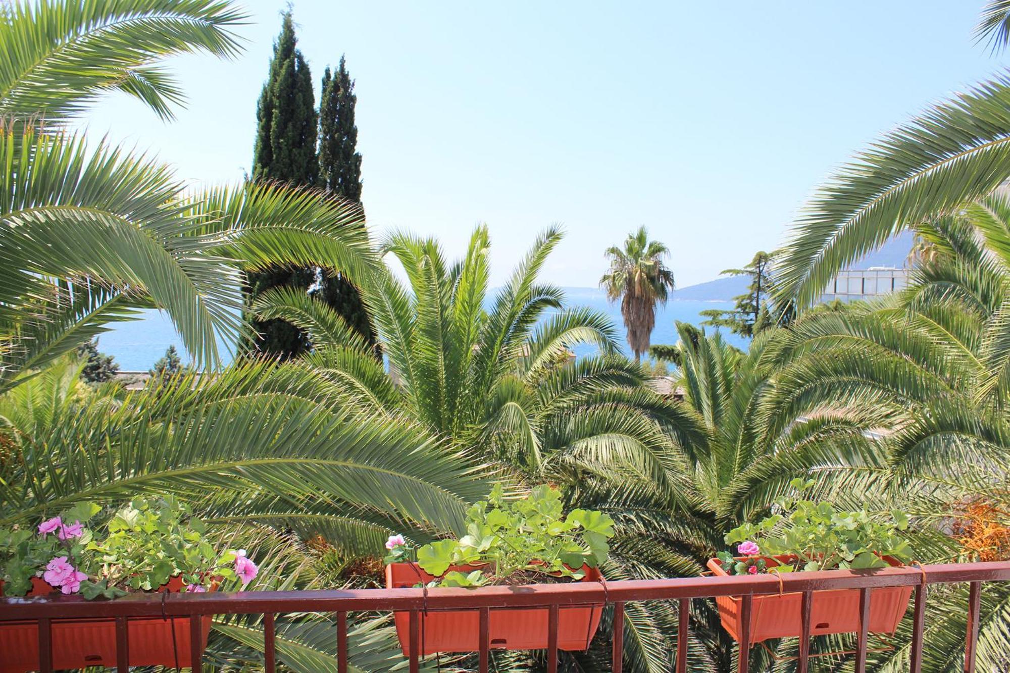 Apartmani I Sobe Goca Herceg Novi Luaran gambar