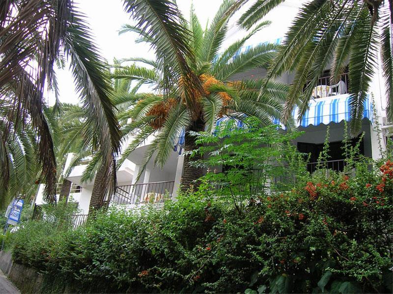 Apartmani I Sobe Goca Herceg Novi Luaran gambar
