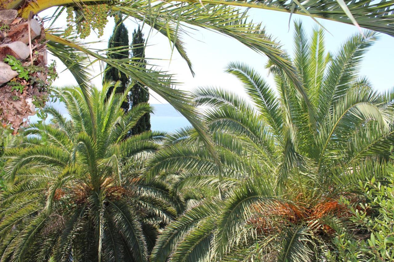 Apartmani I Sobe Goca Herceg Novi Luaran gambar