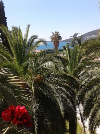 Apartmani I Sobe Goca Herceg Novi Luaran gambar