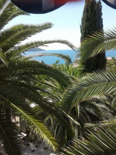 Apartmani I Sobe Goca Herceg Novi Luaran gambar